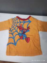 Bluzka Spiderman 74