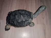 Duży gumowy żółw