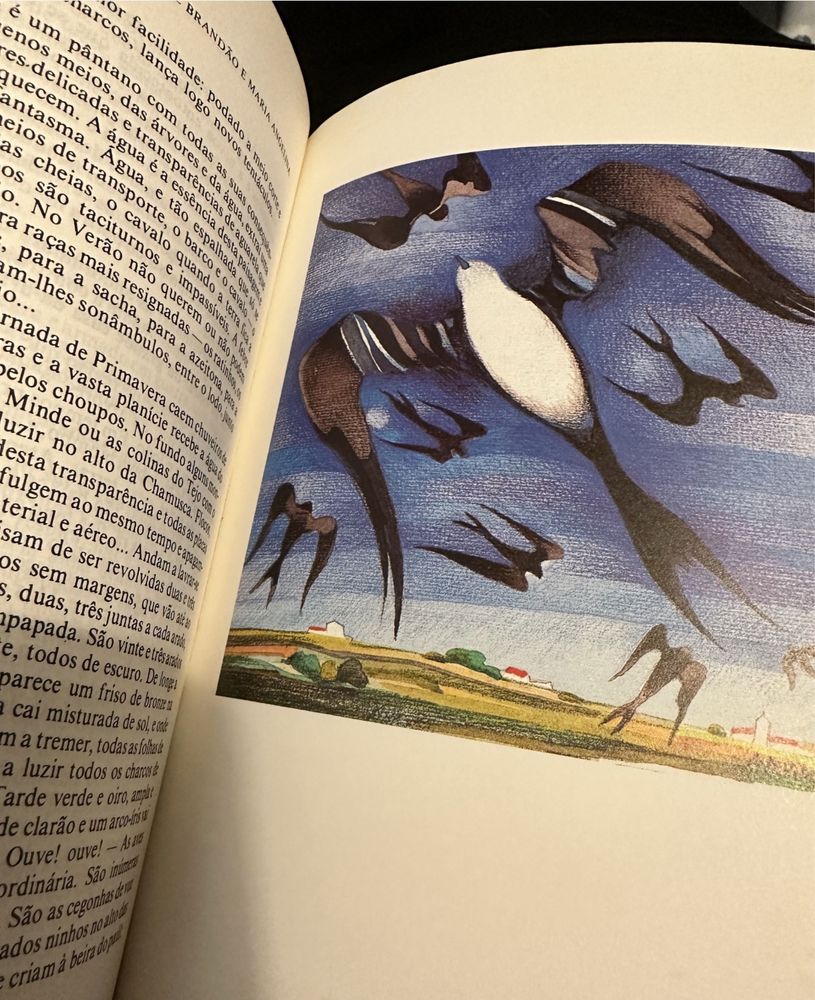 Livro Portugal Pequenino - Raul Brandão, edição ilustrada