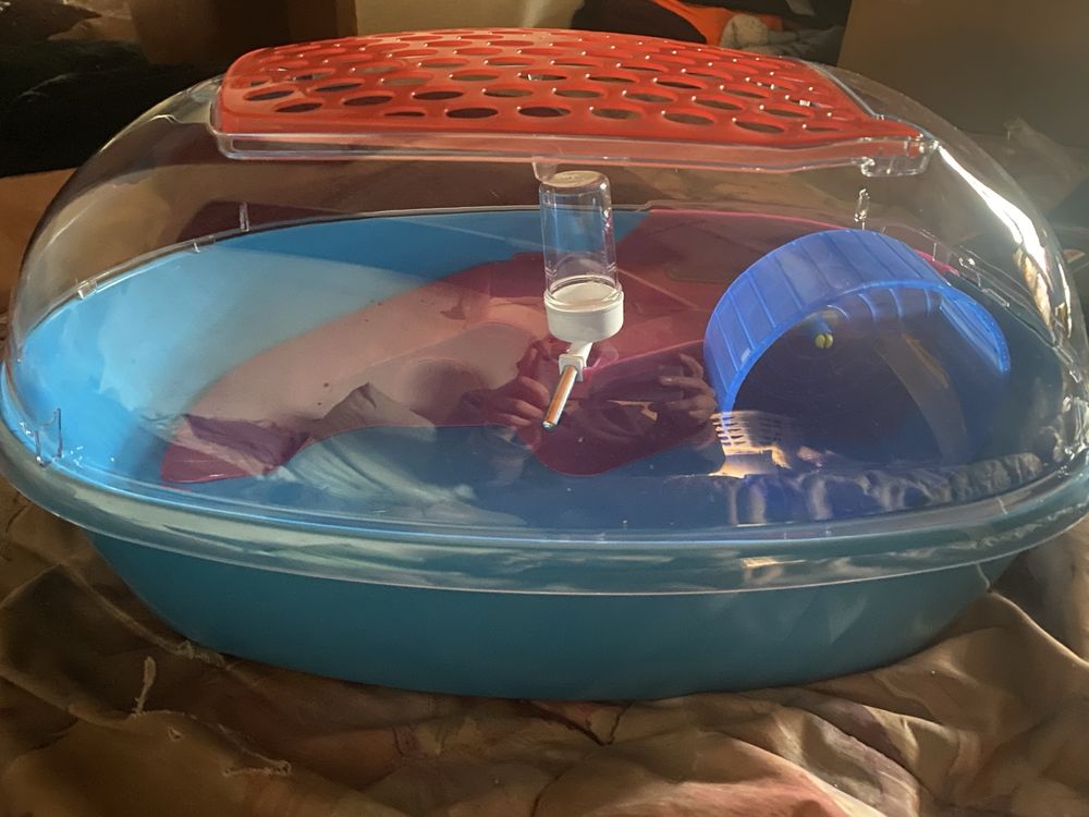 Gaiola para hamster