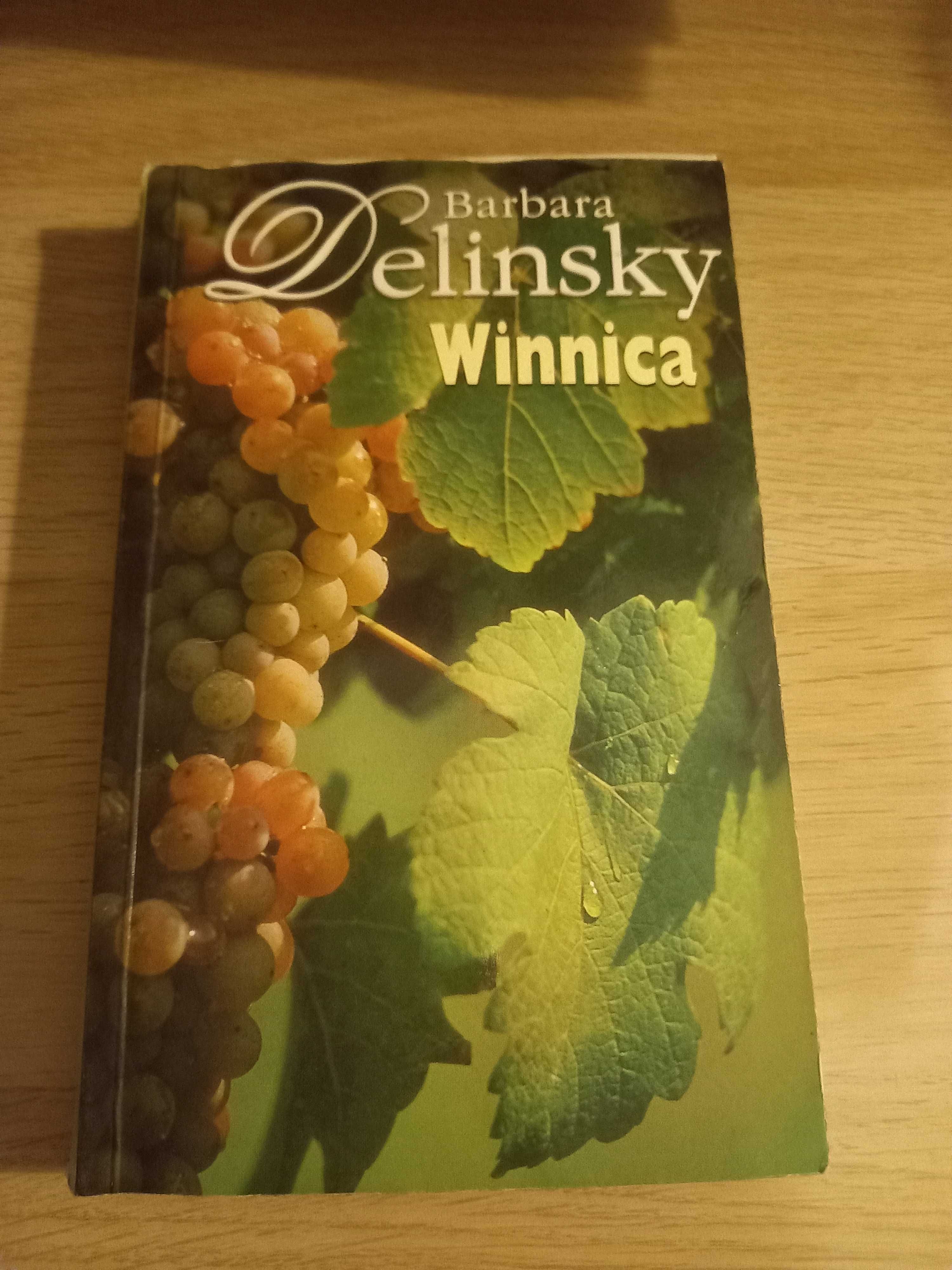 Winnica - Delinsky Barbara