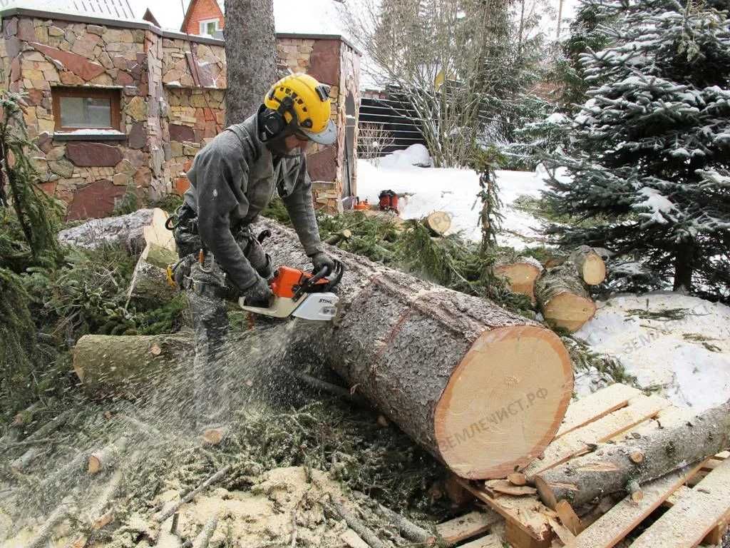 Спил деревьев любой сложности Днепр и обл