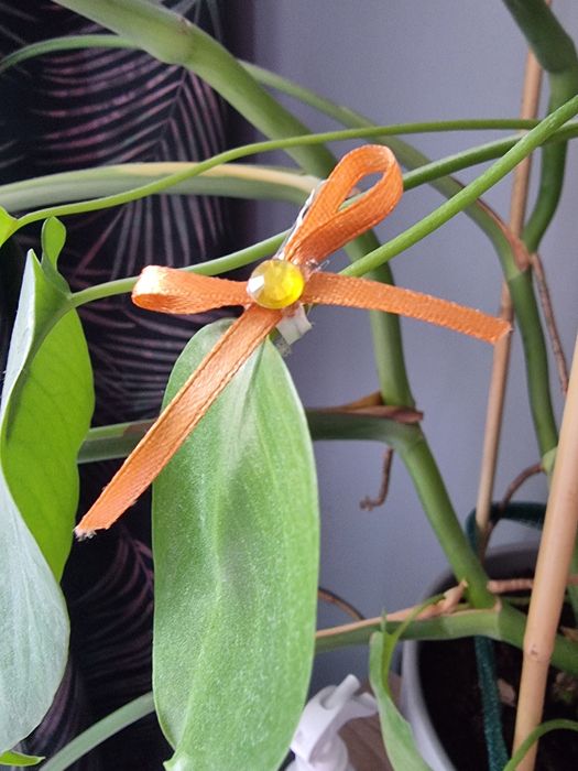 Kokardki kolorowe wielokrotnego użytku do różnych rzeczy