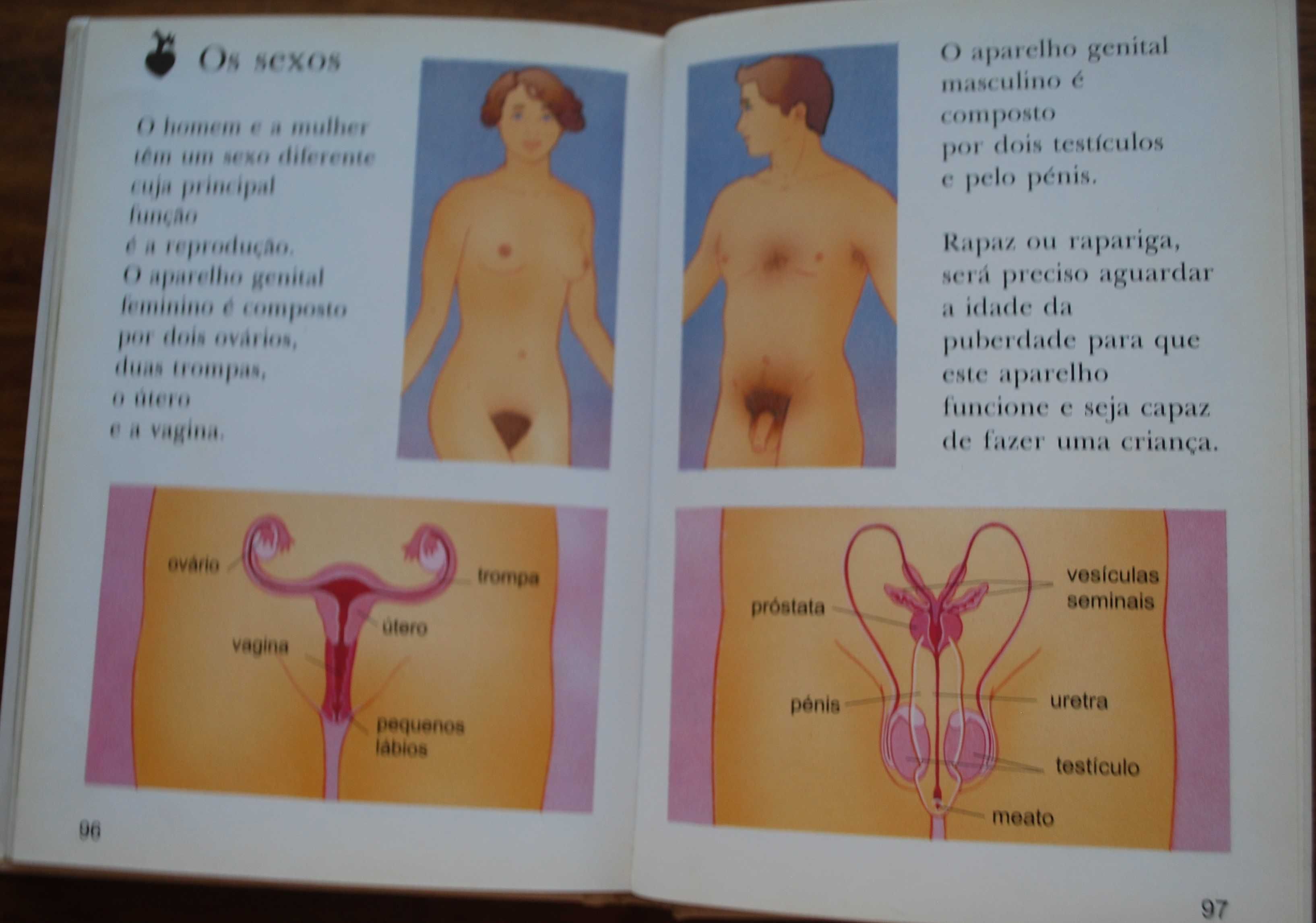 A Minha Primeira Enciclopédia Larousse - O Corpo