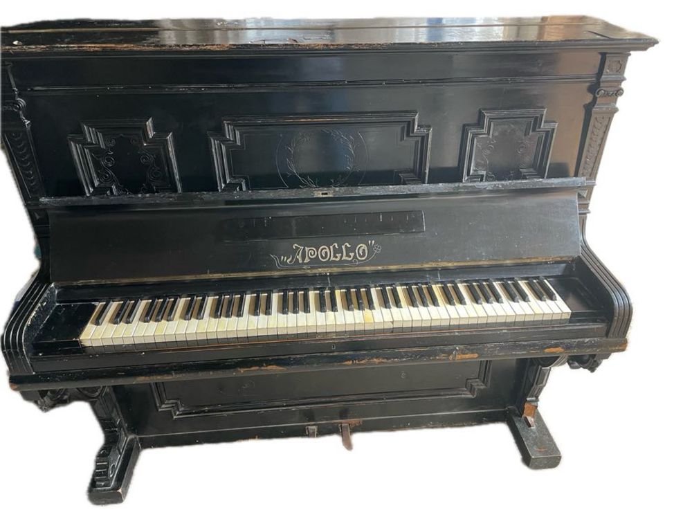 Pianino Apollo do odbioru wlasnego