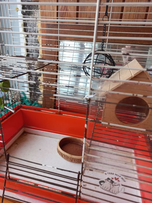 Клітка для гризунів