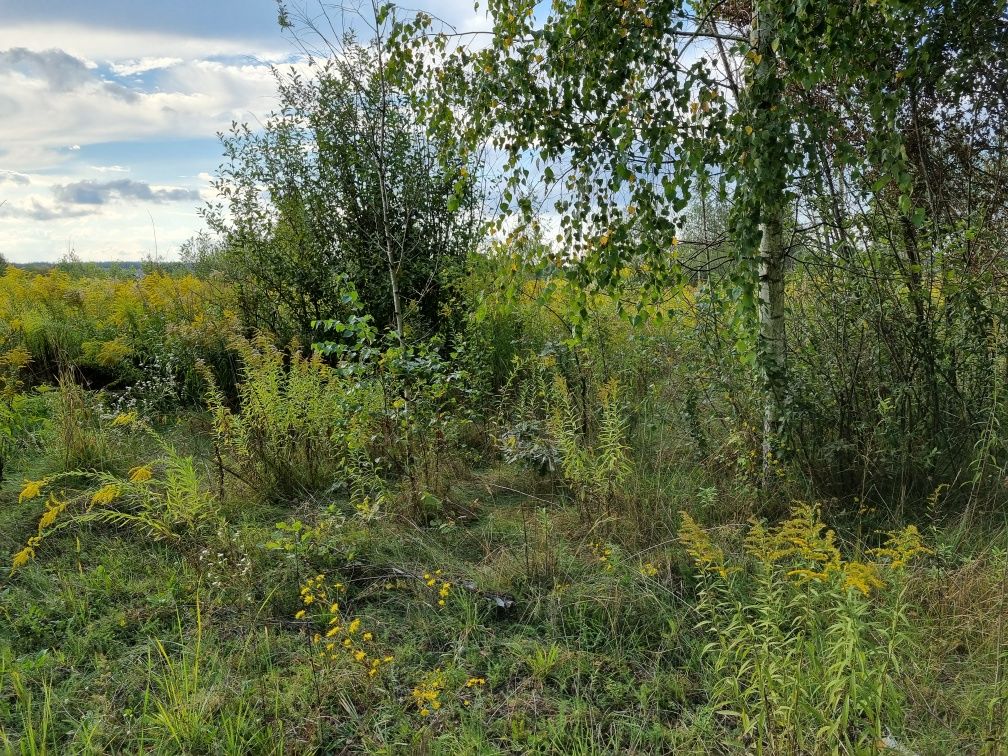 Земельна ділянка під будівництво