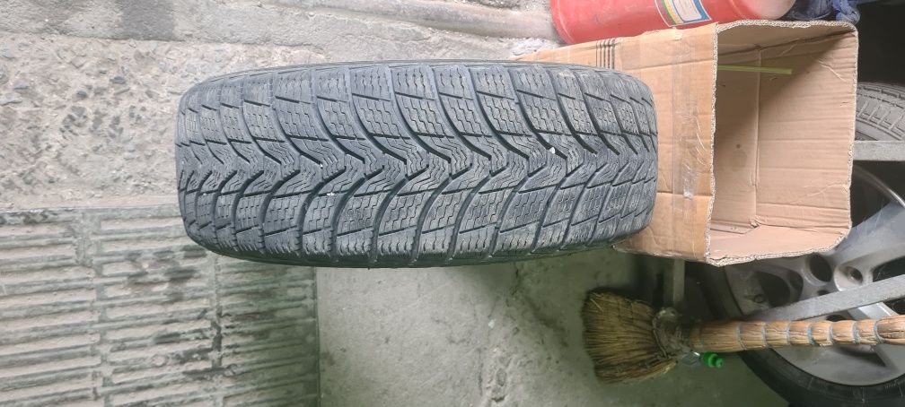 Продам зимову гуму PREMIORRI MAGGIORE 205/55R16