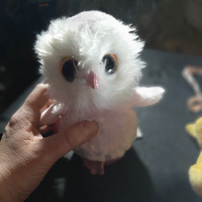 Sowa maskotka pluszak