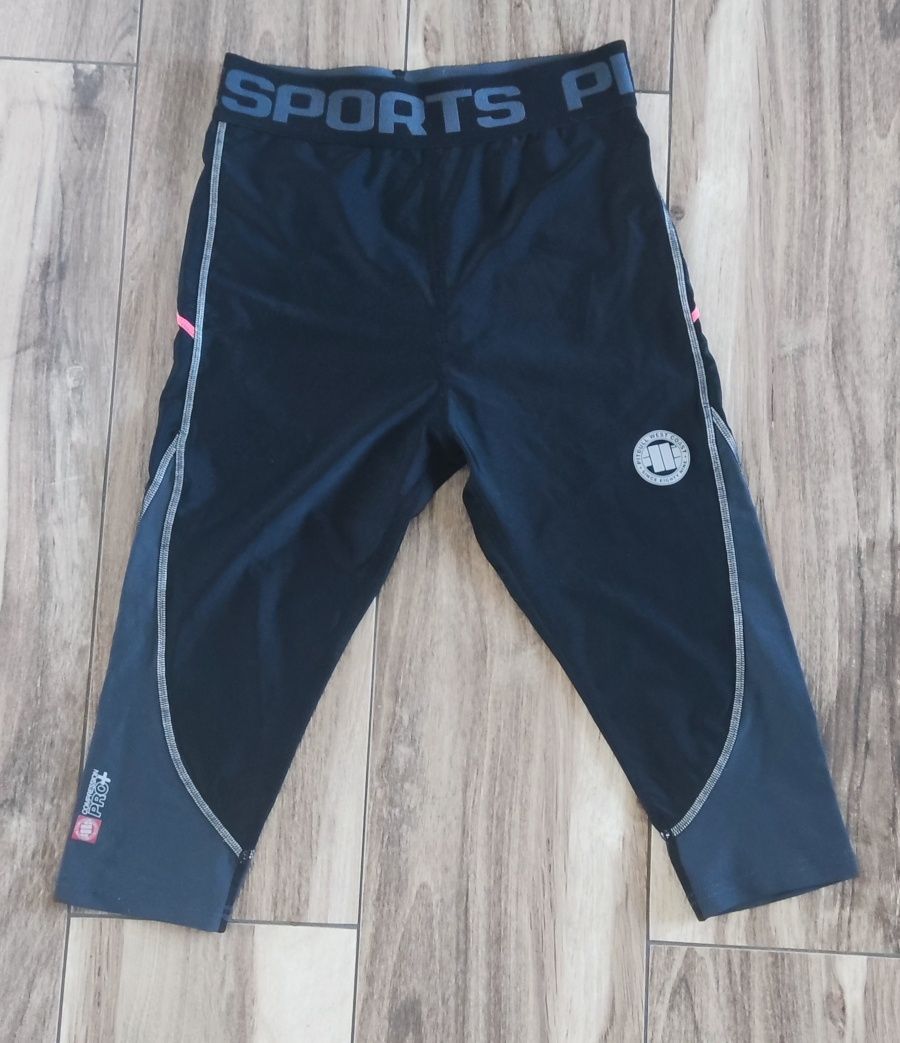 Komplet pitbull leginsy i rashguard