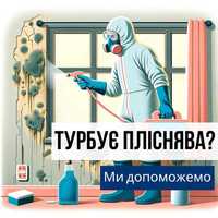 Видалення плісняви. Цвіль. Грибок. Знищення цвілі. Обробка від грибка.