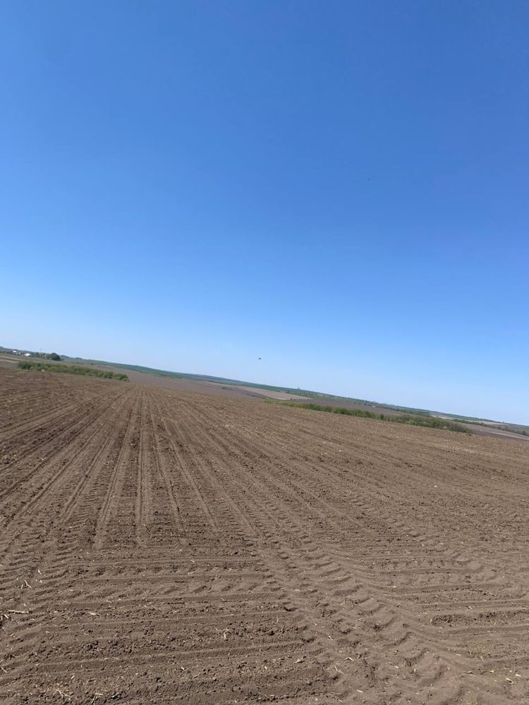Продам земельну ділянку , пай
