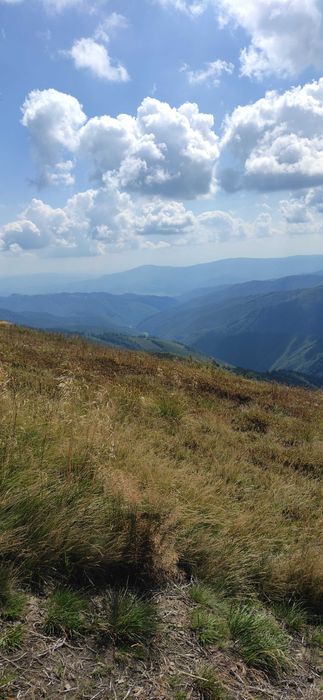 Земельна ділянка