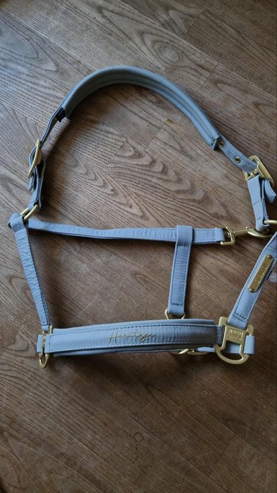 Zestaw kantar + uwiaz