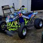 Gas gas wild 300cc