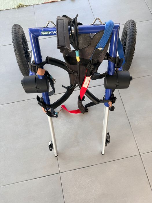 Cadeira de rodas para cães