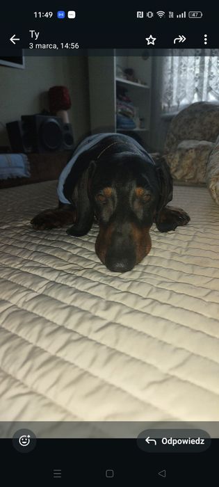 Narzuta na łóżko gruba 2,85 na 2,75 bardzo duża niemiecka qualitet