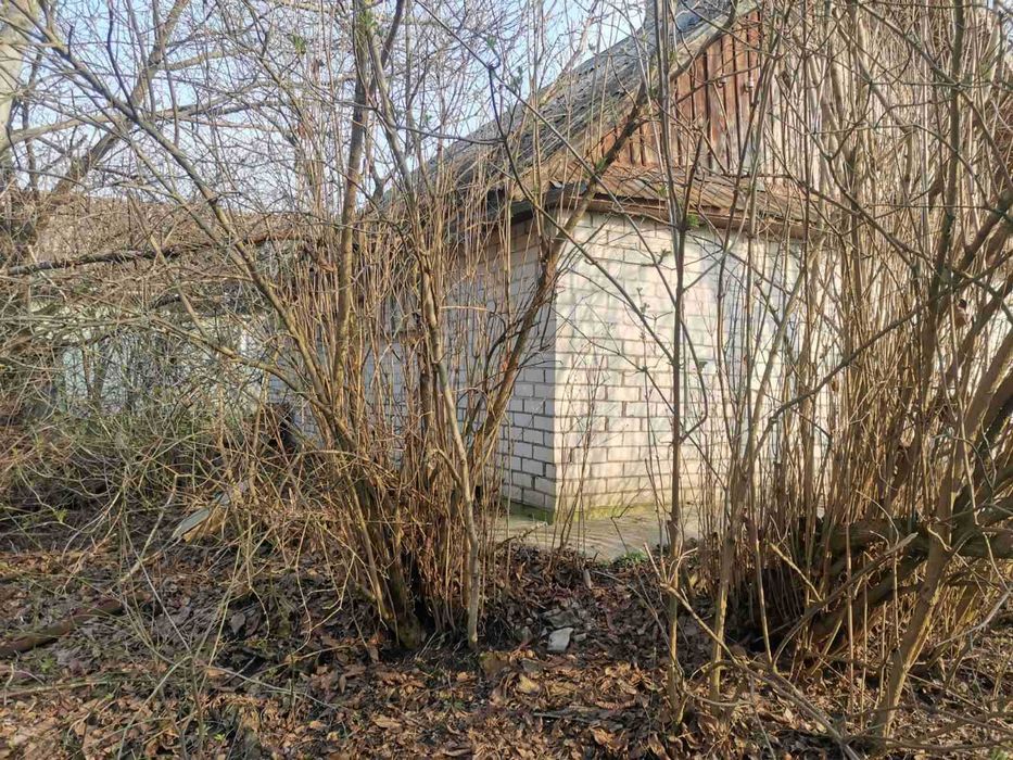 Терміново!!! Продам ділянку з будинком в с. Лісові Гринівці! 33903