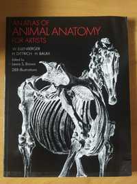 Atlas anatomii zwierząt dla artystów, sztuka rysowanie