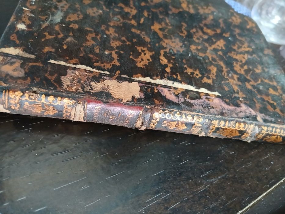 A agonia de Luis de Camões