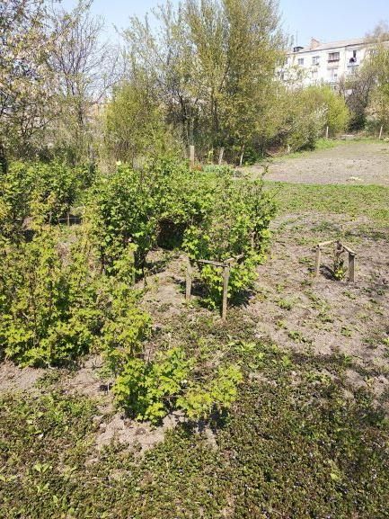 Продається земельна ділянка в центрі міста з виходом до річки Альта