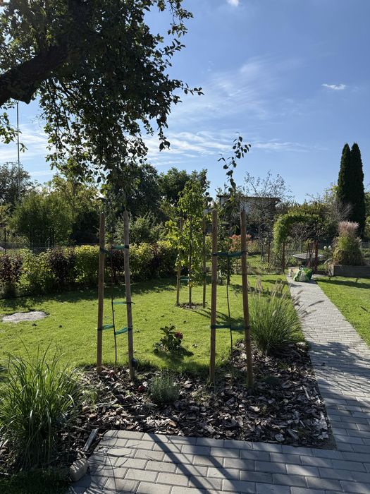 Działka ROD Dzierżona Nysa