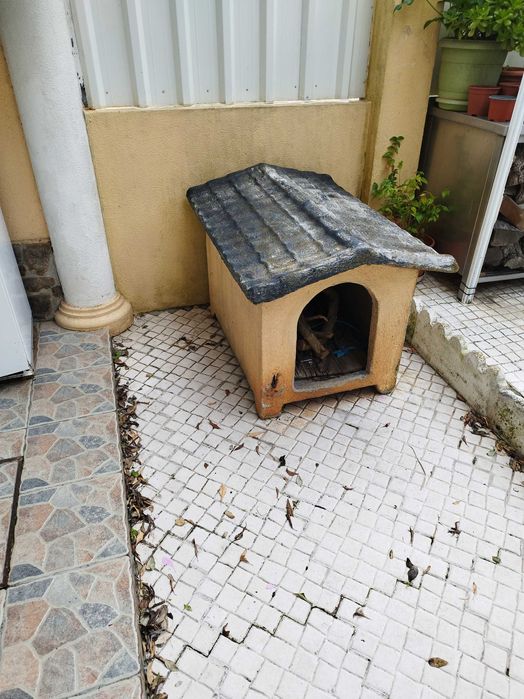 Casota de cão medio porte