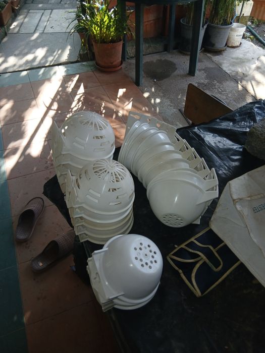 Passaros e  viveiros