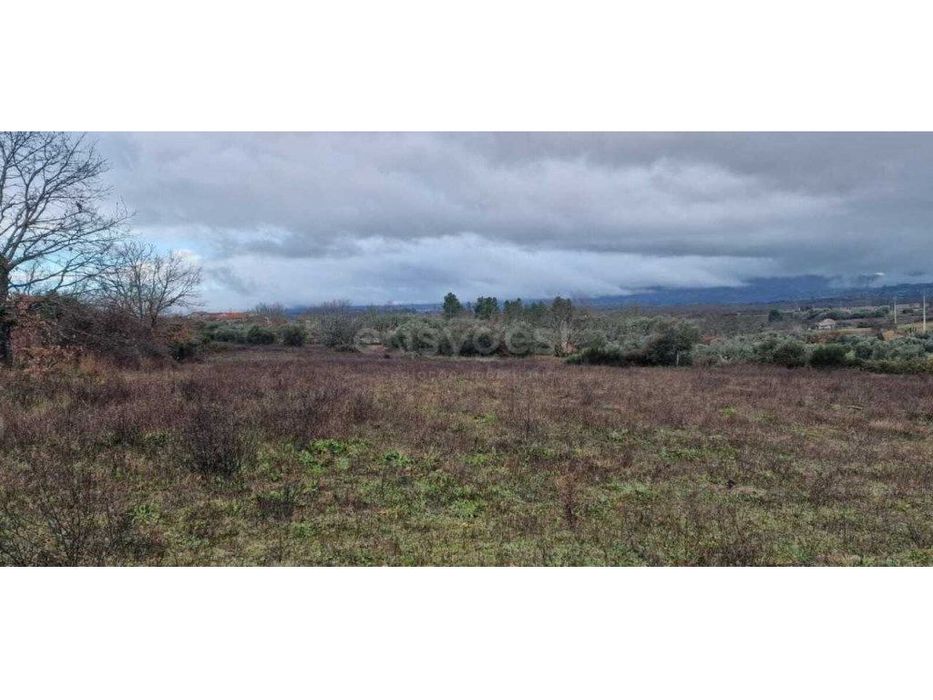 Terreno Rustico - 13 Hectares
