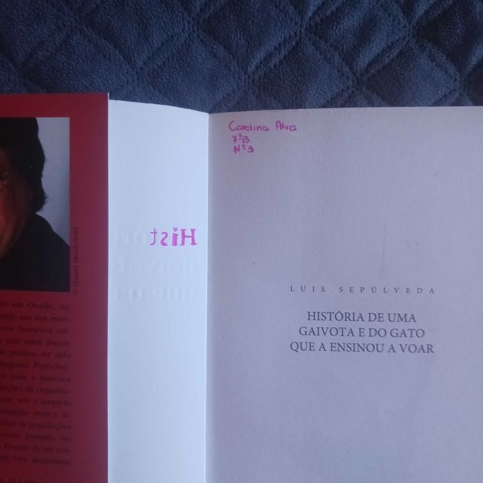 História de uma gaivota e do gato que a ensinou a voar
