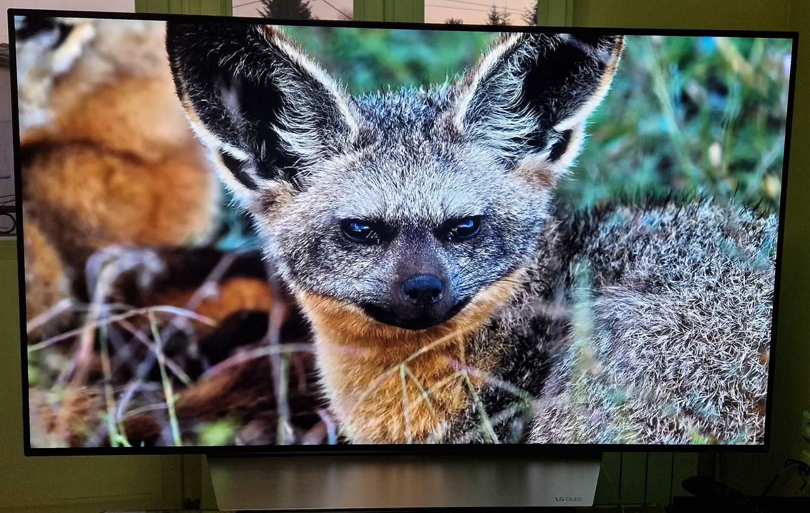 Telewizor LG OLED 55" OLED55C7V