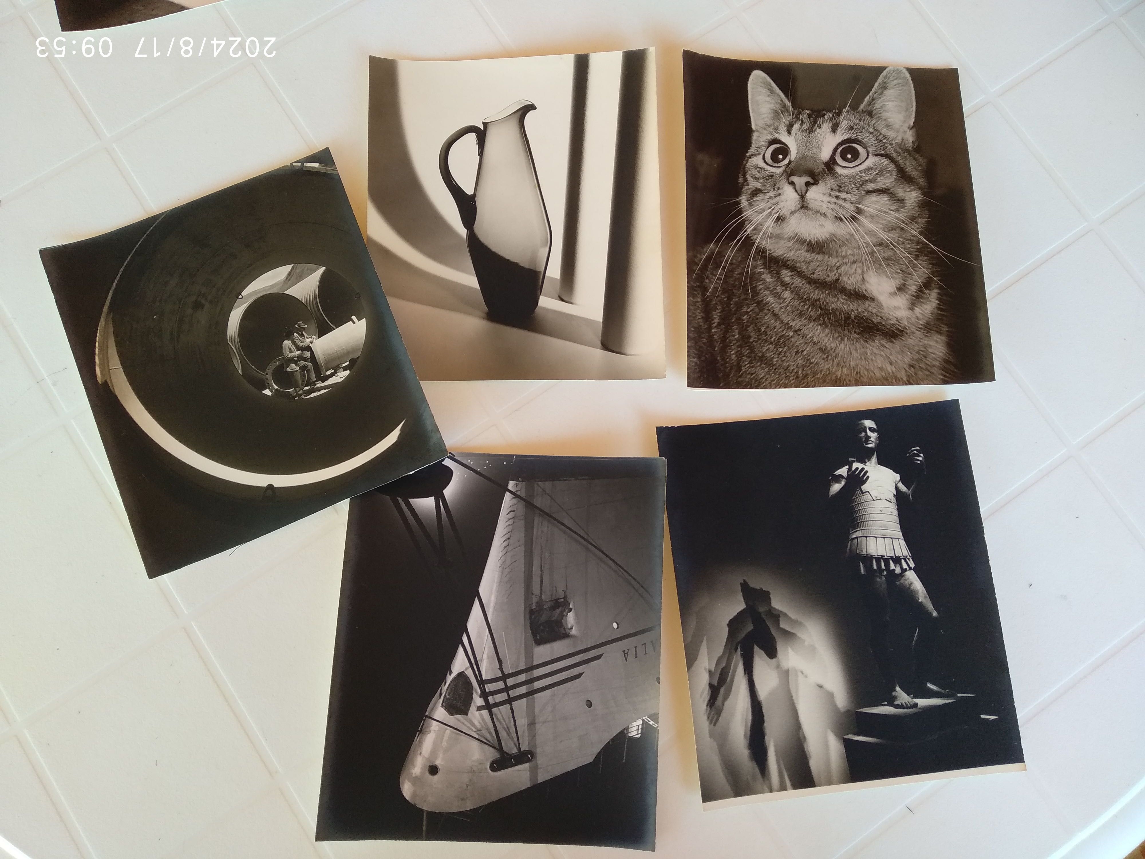 Colecção de fotografias antigas a preto e branco