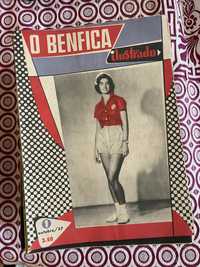 Benfica ilustrado