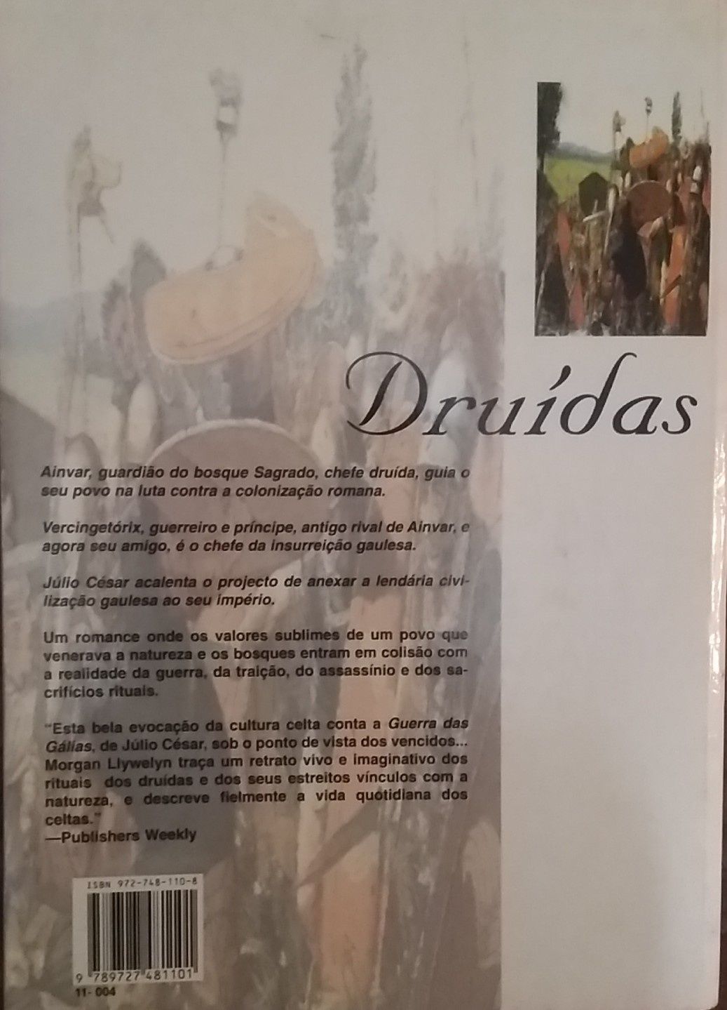 Druídas, Morgan Llywelyn