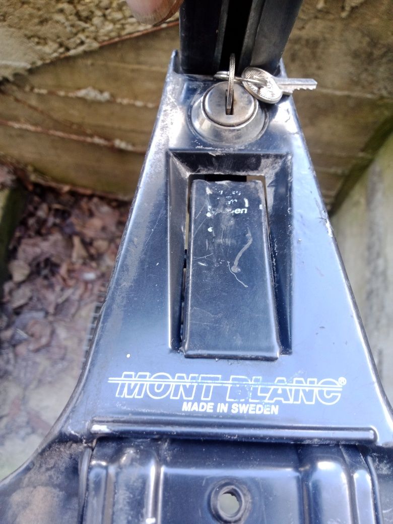 Рейлинги на дах авто Mont Blank
