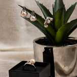 Conjunto Brincos Anel e Pendente