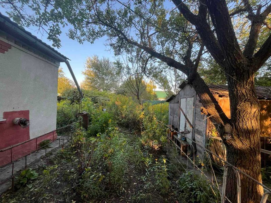 Продам дачний будинок с.Вільне-Тарасівка,