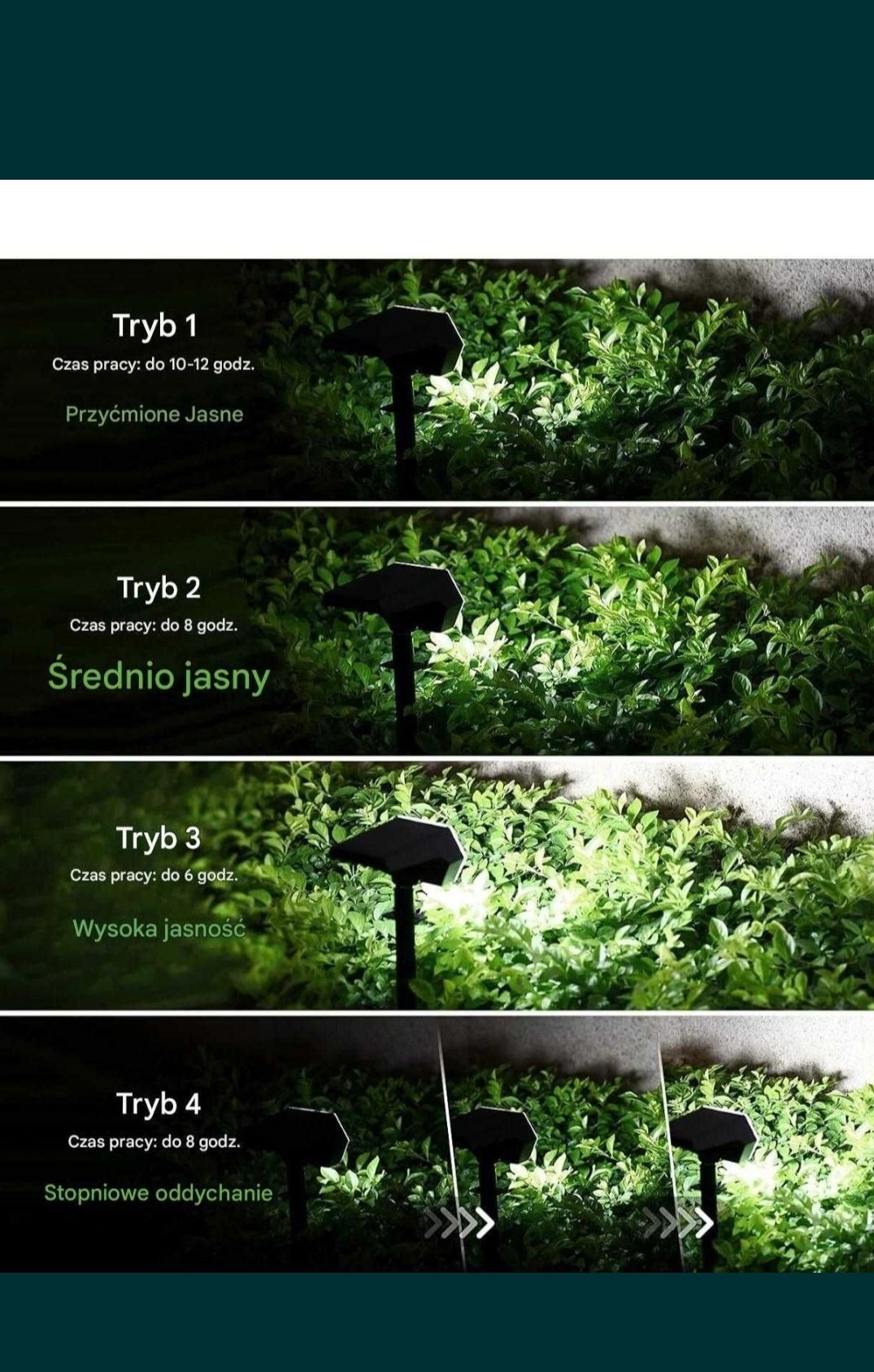 Lampa solarna 3 szt halogen do podświetleń krzewów drzew