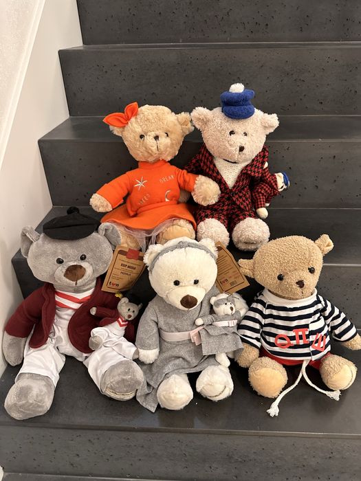 Misie z fundacji TVN- zestaw 5 szt.