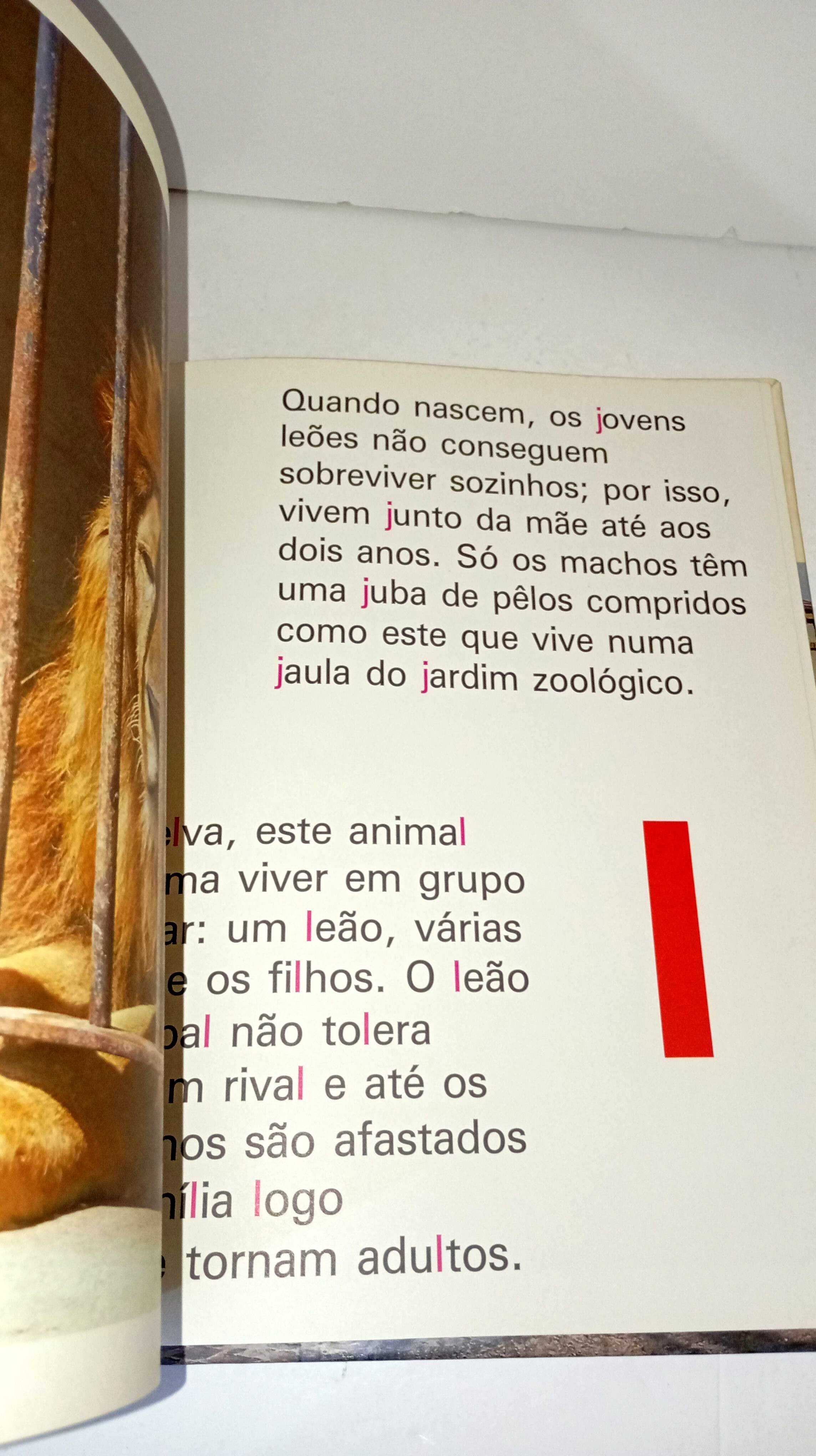 ABC do Zoológico