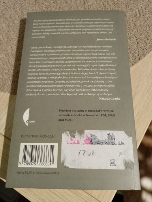 Agnieszka Wolny-Hamkało - Zaćmienie