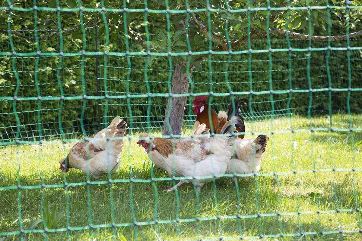 Siatka elektryczna dla drobiu Premium,Siatka drobiowa elektryczna