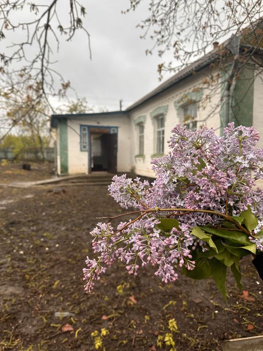 Продаж будинку в селі неподалік Рокитного