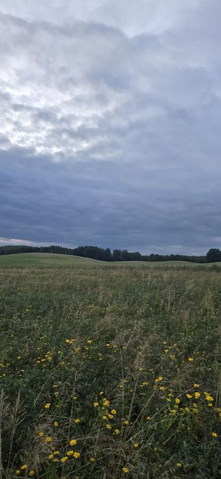 Sprzedam działki, działka, Borzytuchom koło Bytów