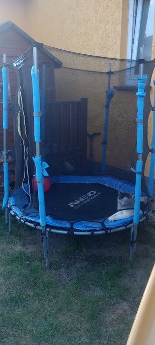 Trampolina dla dzieci