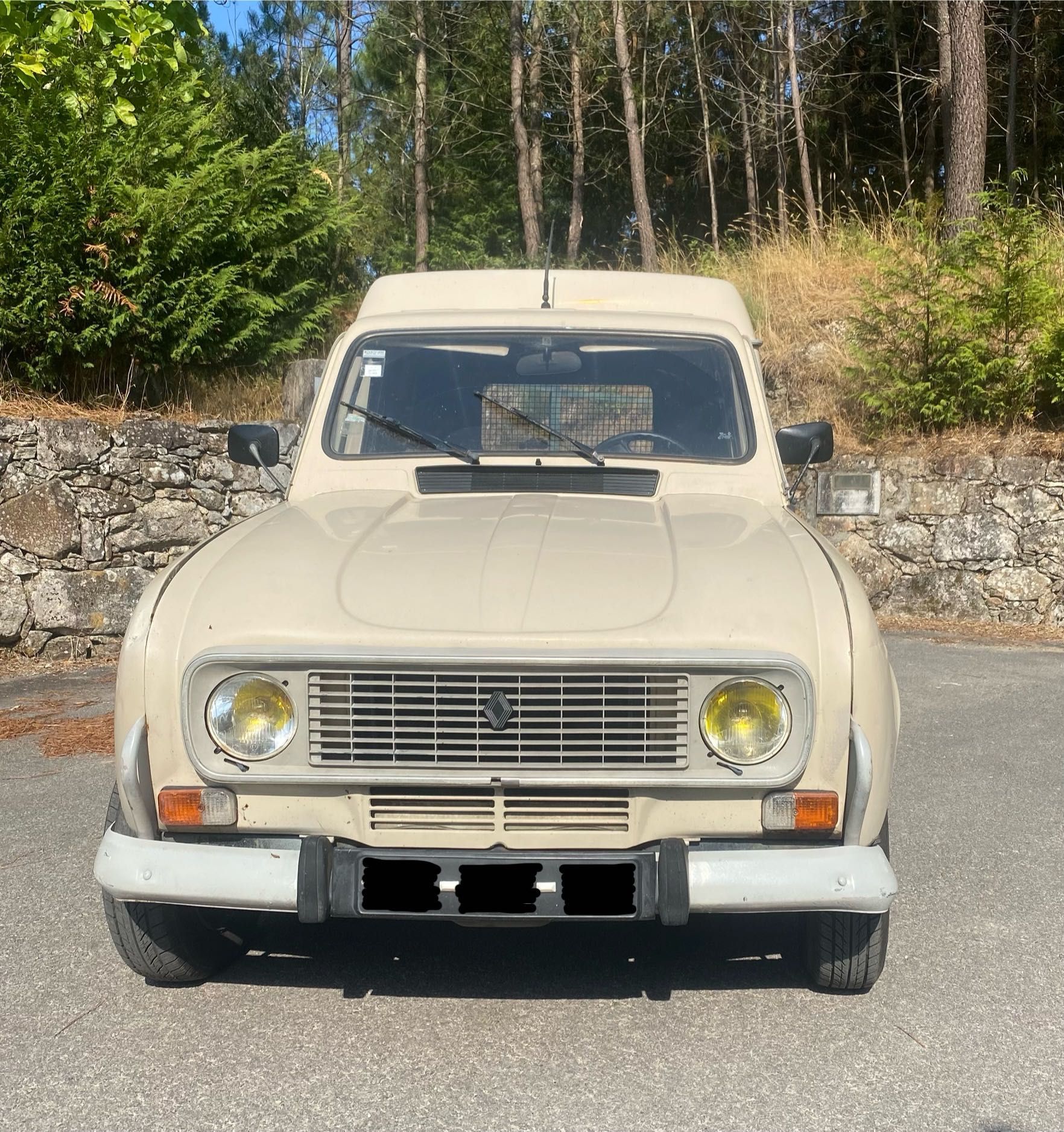 Carro clássico Renault 4L F6