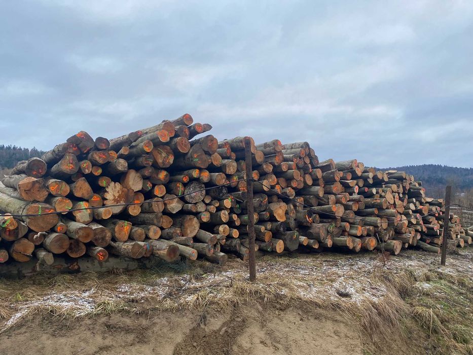 Drewno opałowe kominkowe buk grab