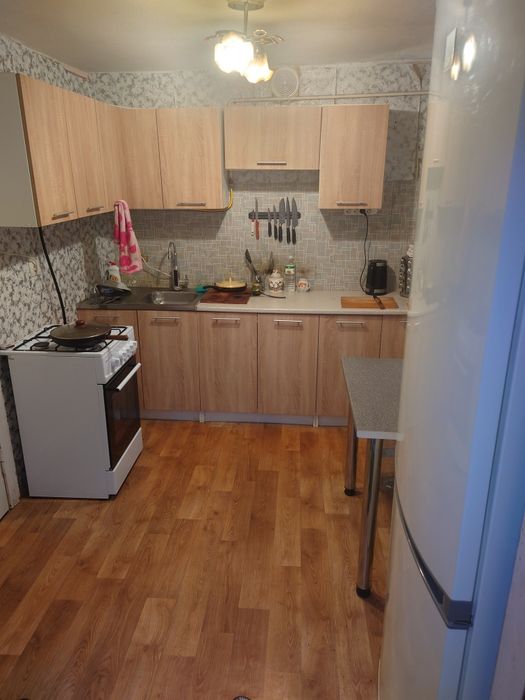 Продам дом в с.Аполлоновка Днепропетровской обл.