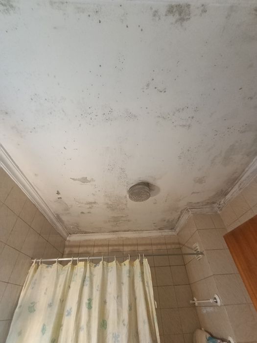 Pintura De Casas E Apartamentos