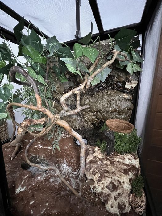 ExoTerra terrarium